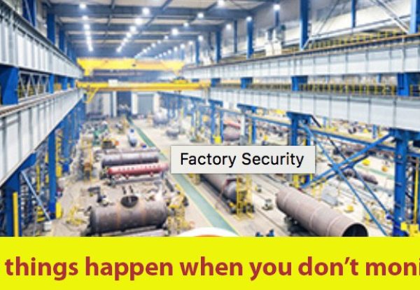 6 steps for ensuring security of your Plant cover