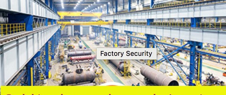 6 steps for ensuring security of your Plant cover